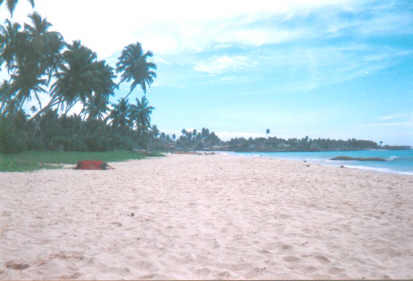 Der Strand von Ambalangoda